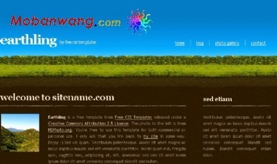 免費草原森林信息網頁模板下載指南 | 模板王數據服務